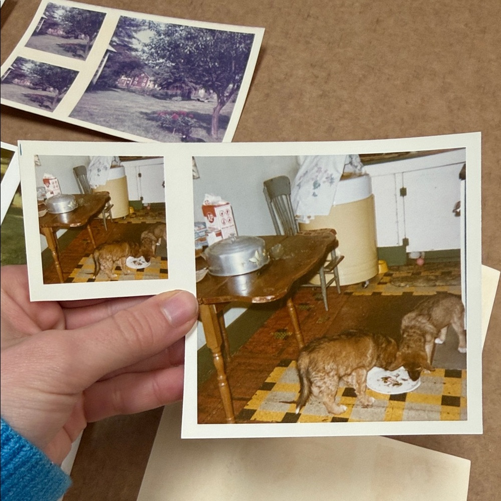 Vintage Photo Collection - Picture 4 of 11